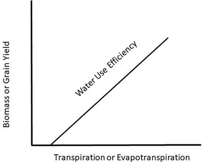 Water-Use Efficiency: Advances and Challenges in a Changing Climate